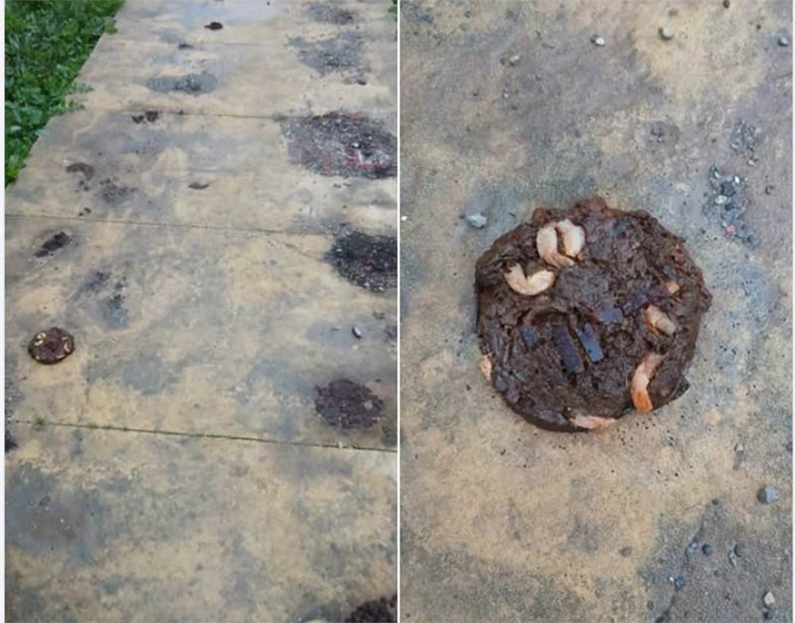 Rastro de los actos vandálicos que desde hace dos años sufre la calle/FOTO CEDIDA