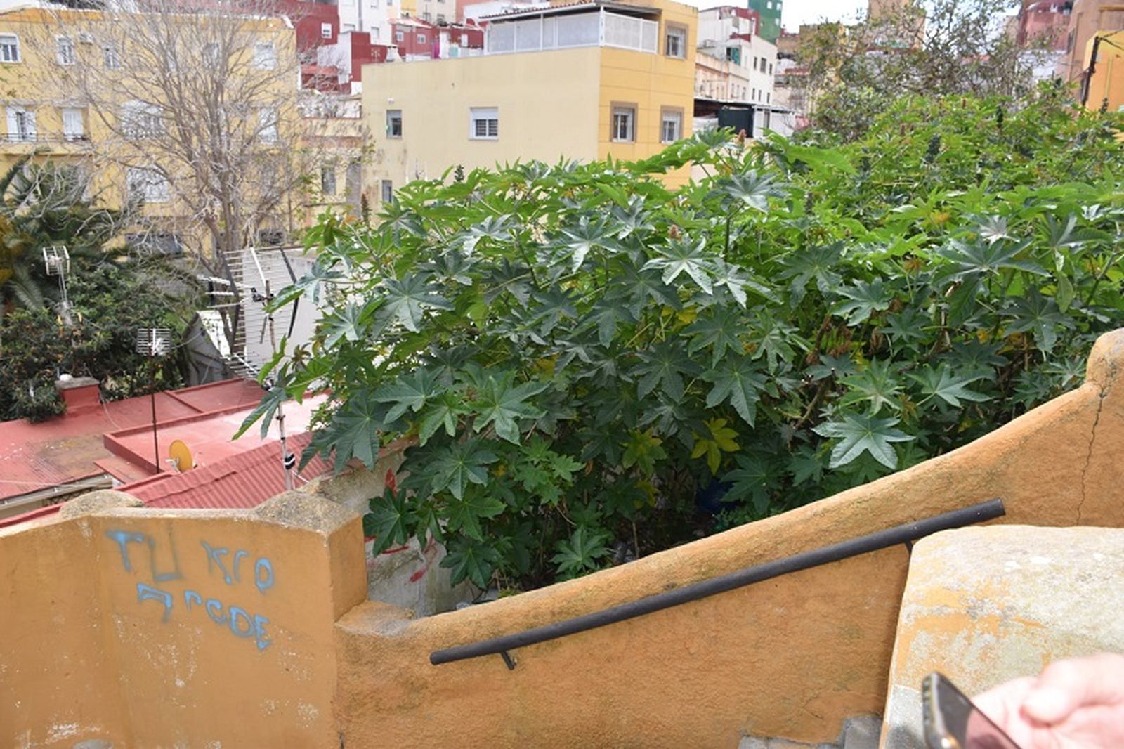 Terreno abandonado de la calle Tetuán convertido en vertedero ilegal. / FOTO NICOLS