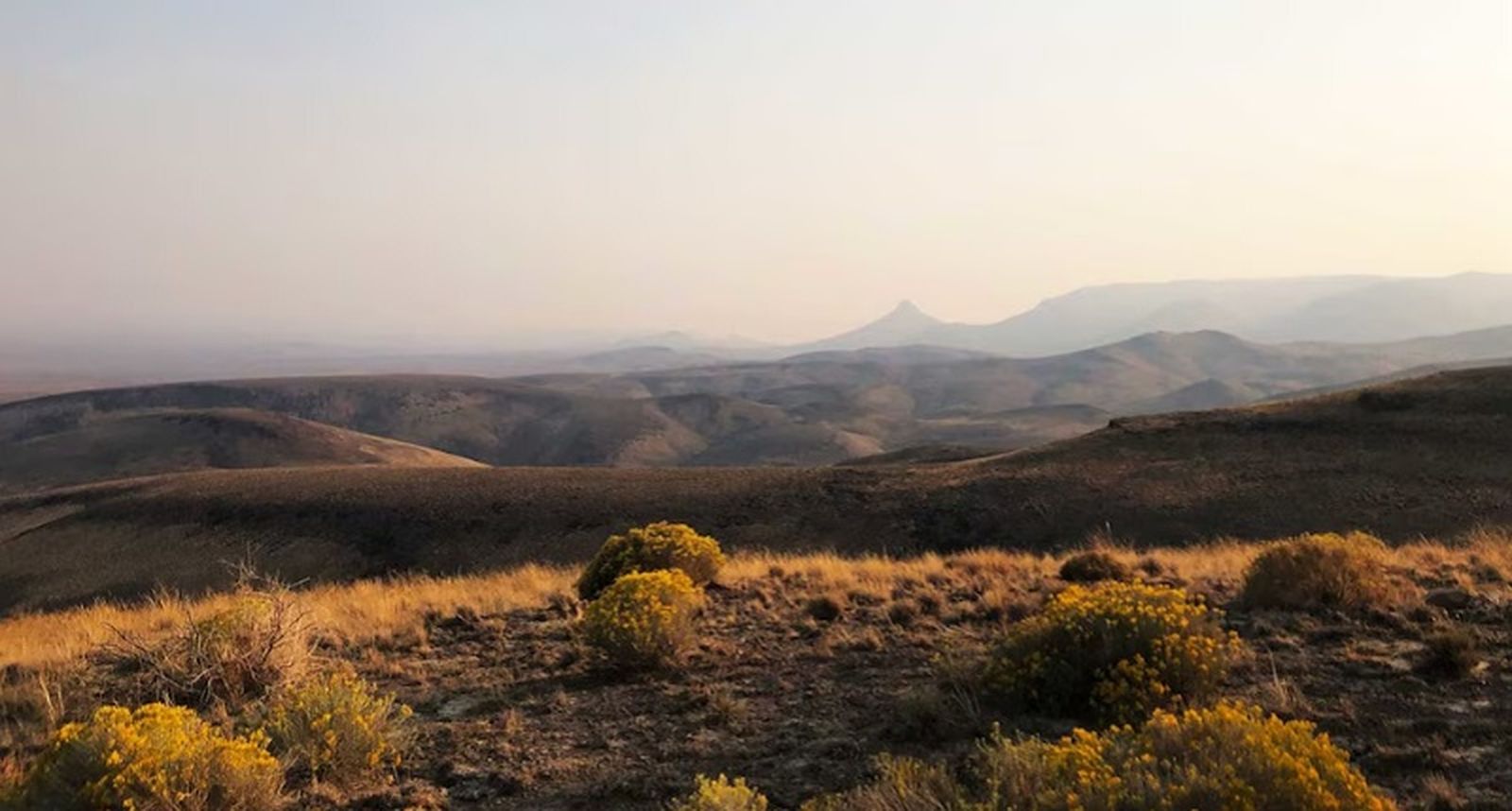 FOTO Oregon Natural Dessert Association