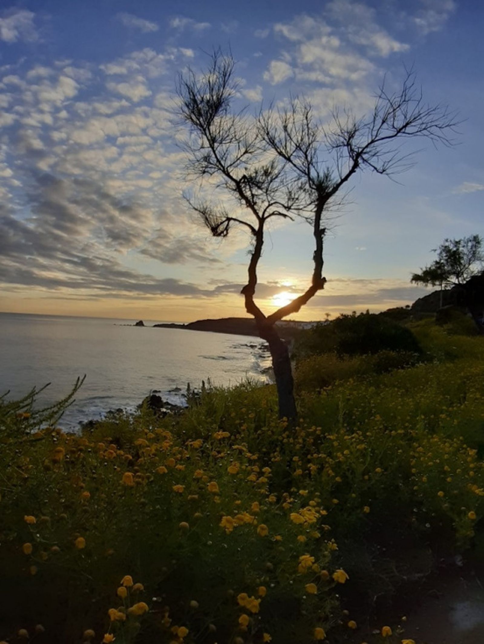 7443_foto-ganadoraentera