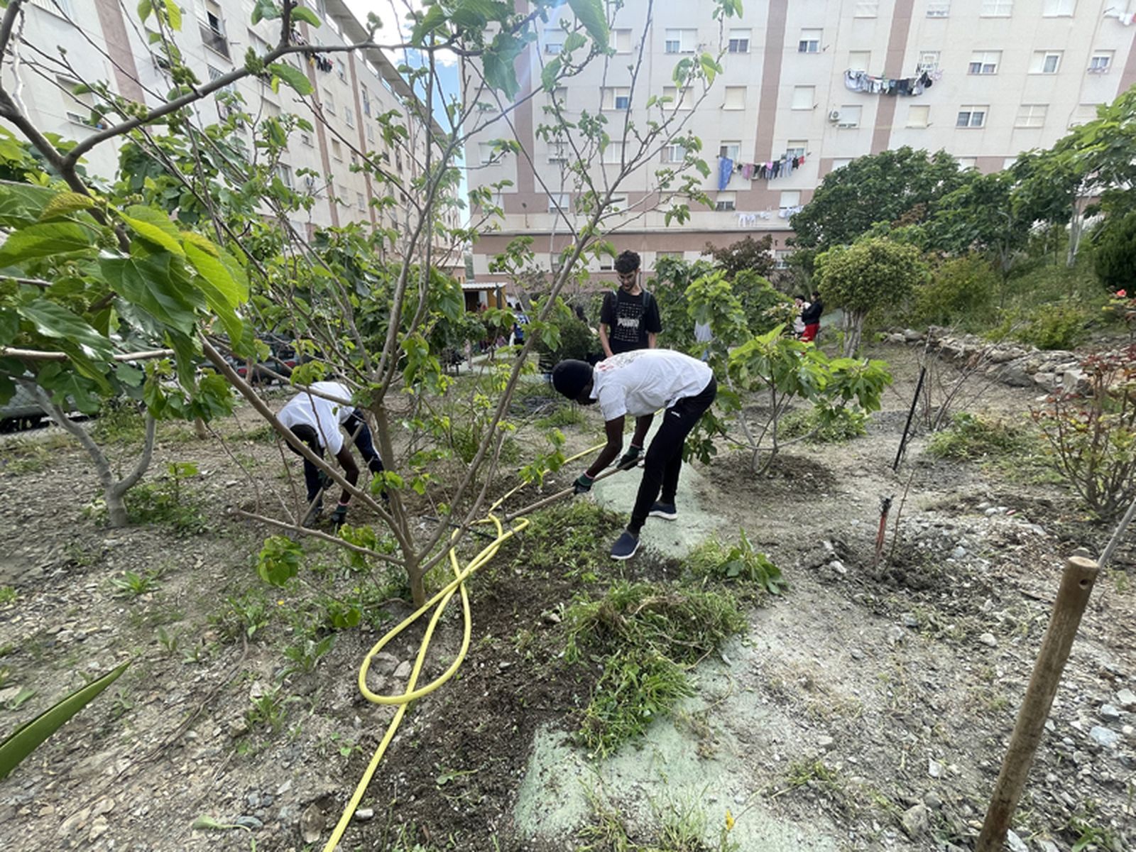 Uno de los remedios./ FOTO E.P.