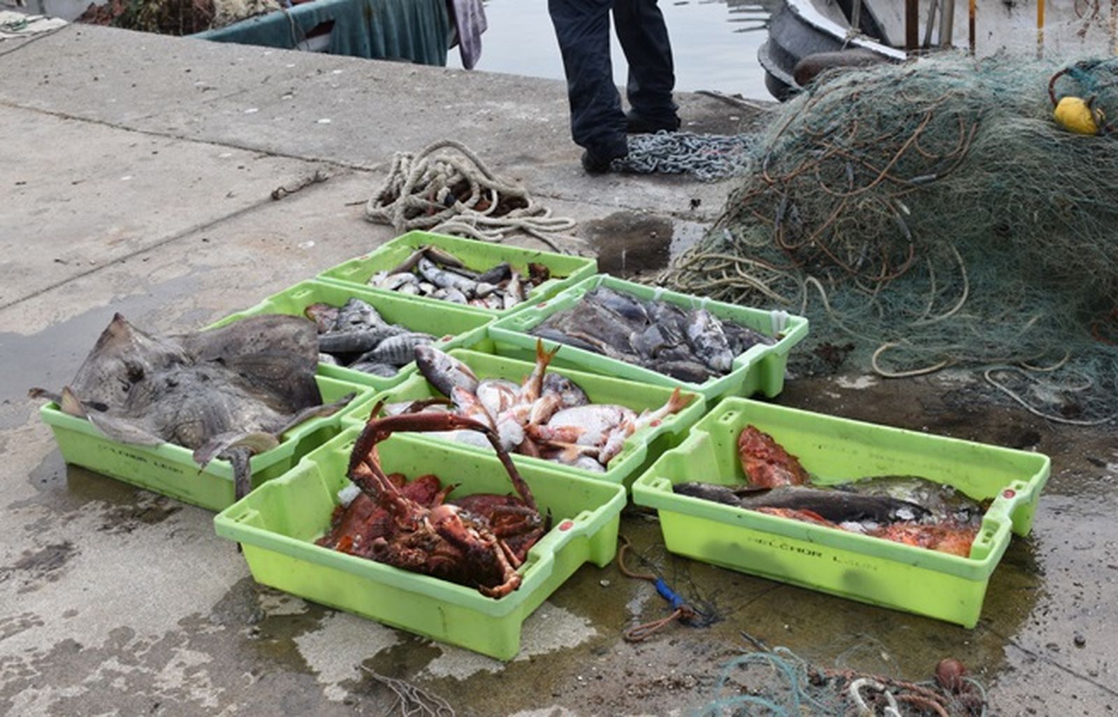 Imagen de un "buen día de pesca" para Ramírez y León. / FOTO G.S.