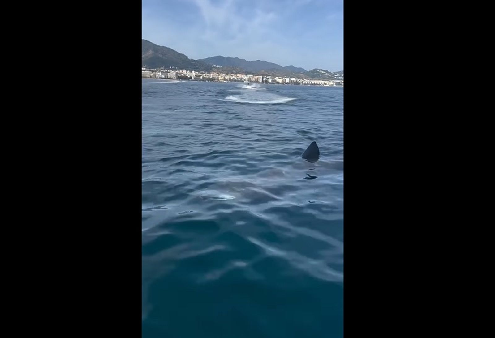 FOTO CAPTURA DEL VIDEO