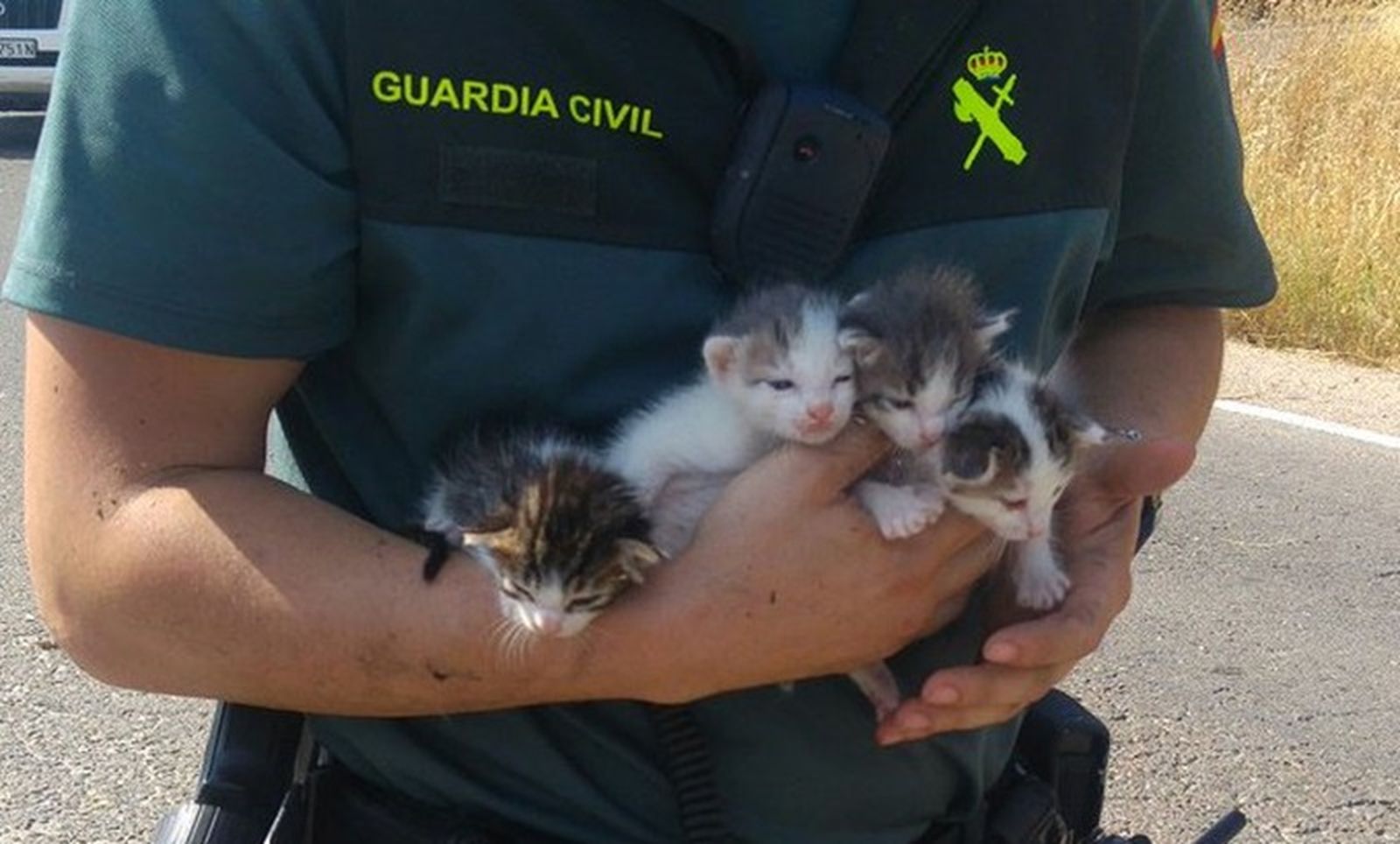 FOTO GUARDIA CIVIL