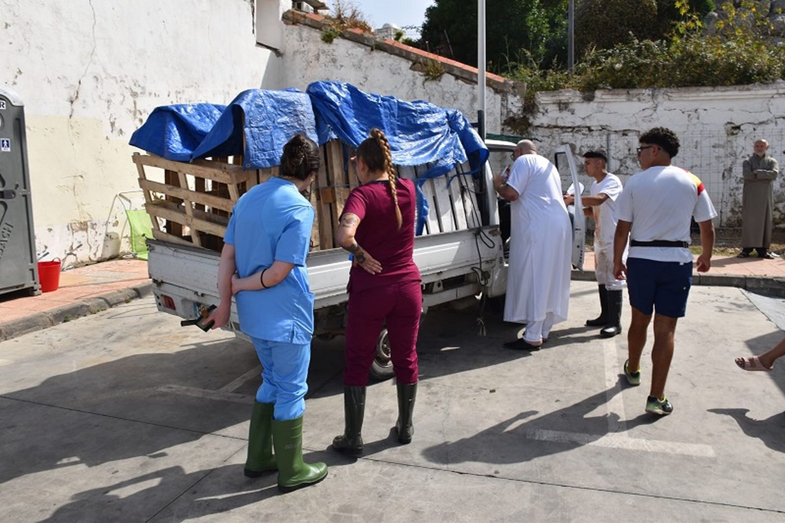 Un vehículo llegando al matadero de Pozo Rayo con borregos este sábado. / FOTO NICOL'S