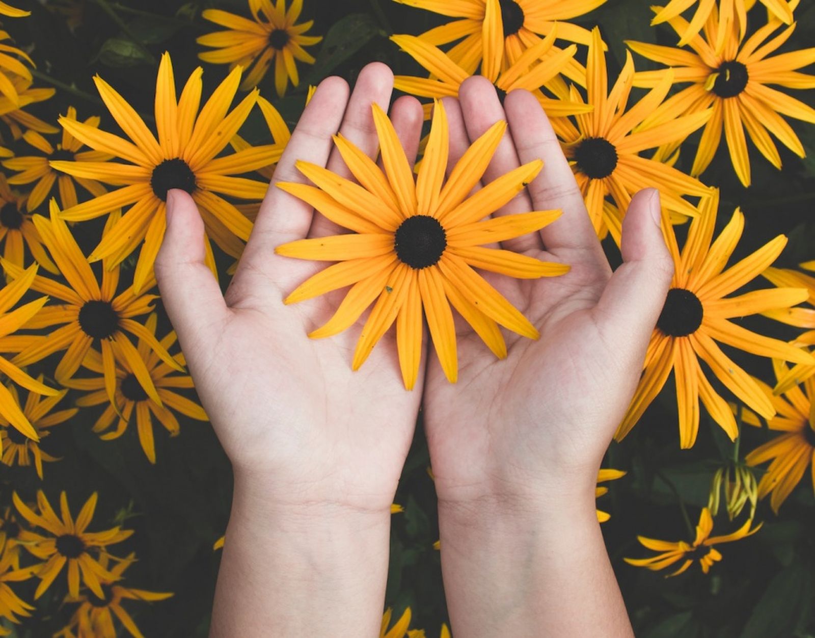 5817_suicidio-foto-de-manos-con-flores