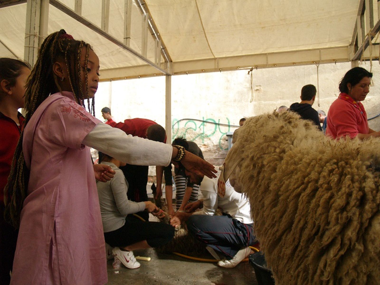 1273_fiesta-sacrificio-3