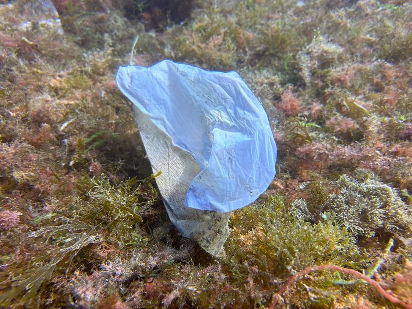 “Lo que no se ve no se conoce y como los residuos están debajo del agua, parece que no existen”. / FOTO CEDIDA