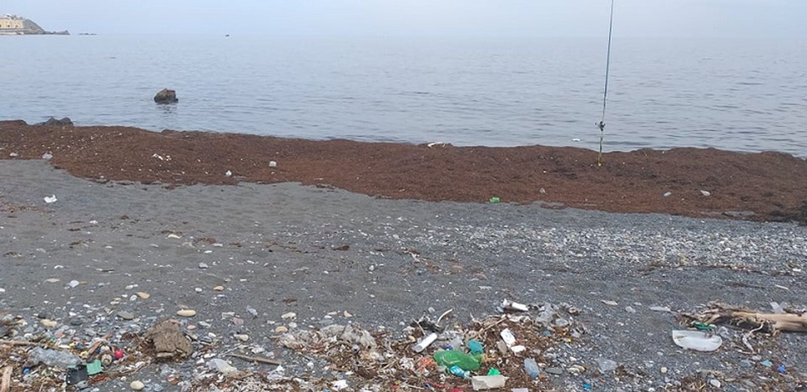 7885_102352394_196784524832032_5132510417066207514_n