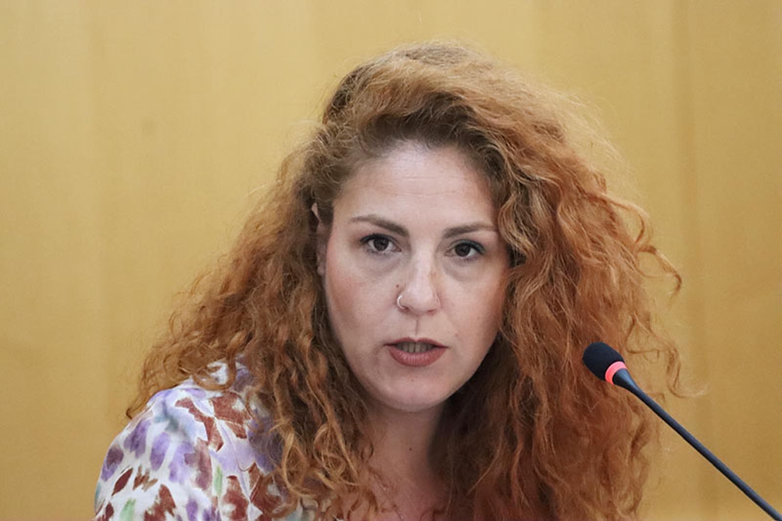 Ferreras, durante su intervención en el pleno/FOTO REDUAN