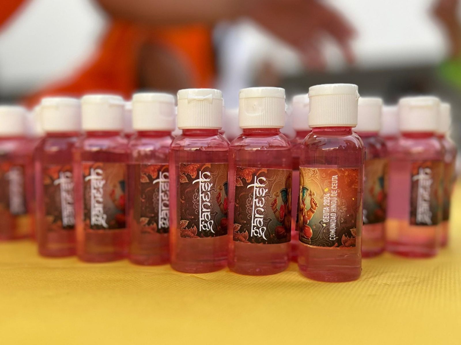 Agua bendita de la inmersión de Ganesh | FOTO E.A.Z.