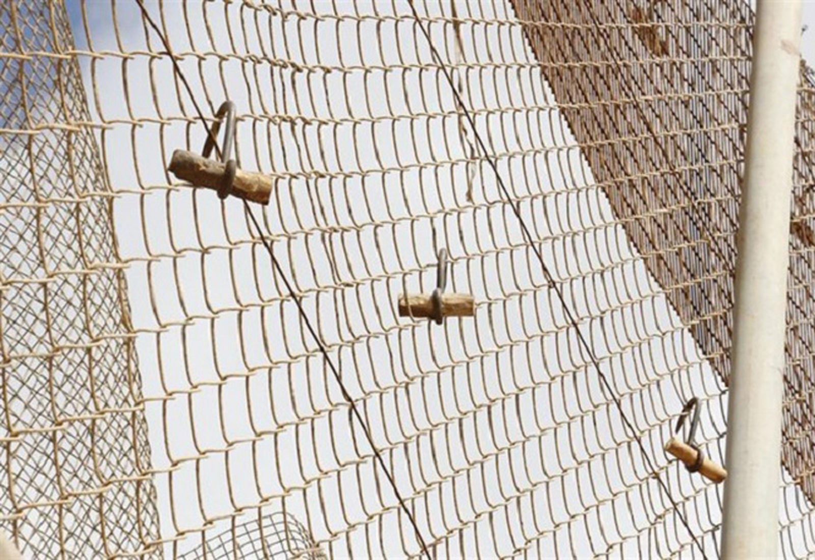 2351_fotonoticia_20190719131501_640