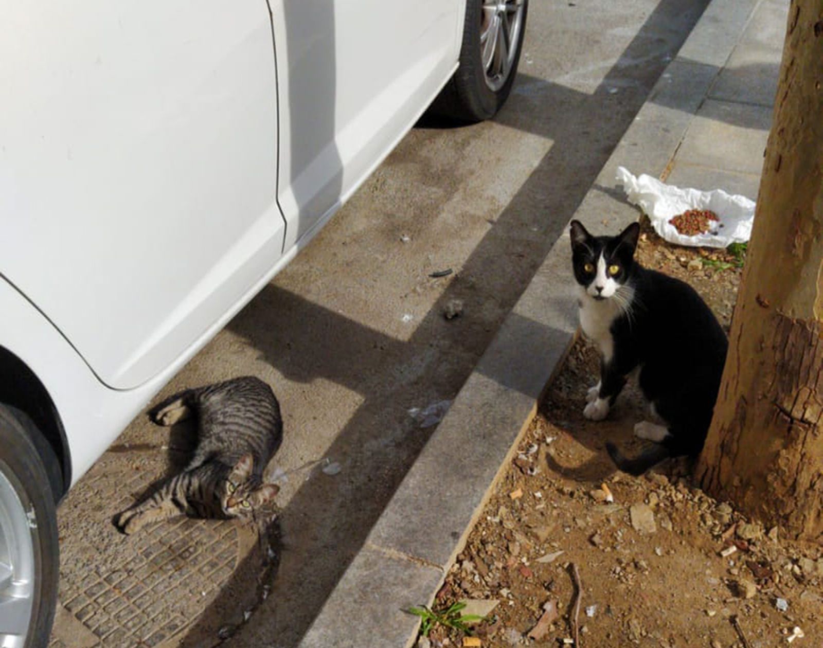 3597_5652_87852304_3018553678203138_5370638006992502784_o