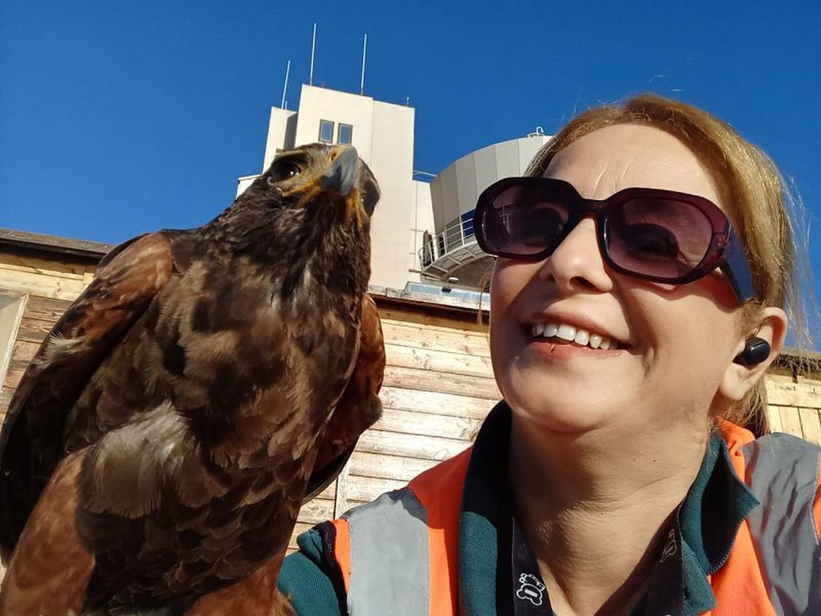 Horia Hamed, cetrera y encargada del mantenimiento de las aves en la empresa. / FOTO CEDIDA