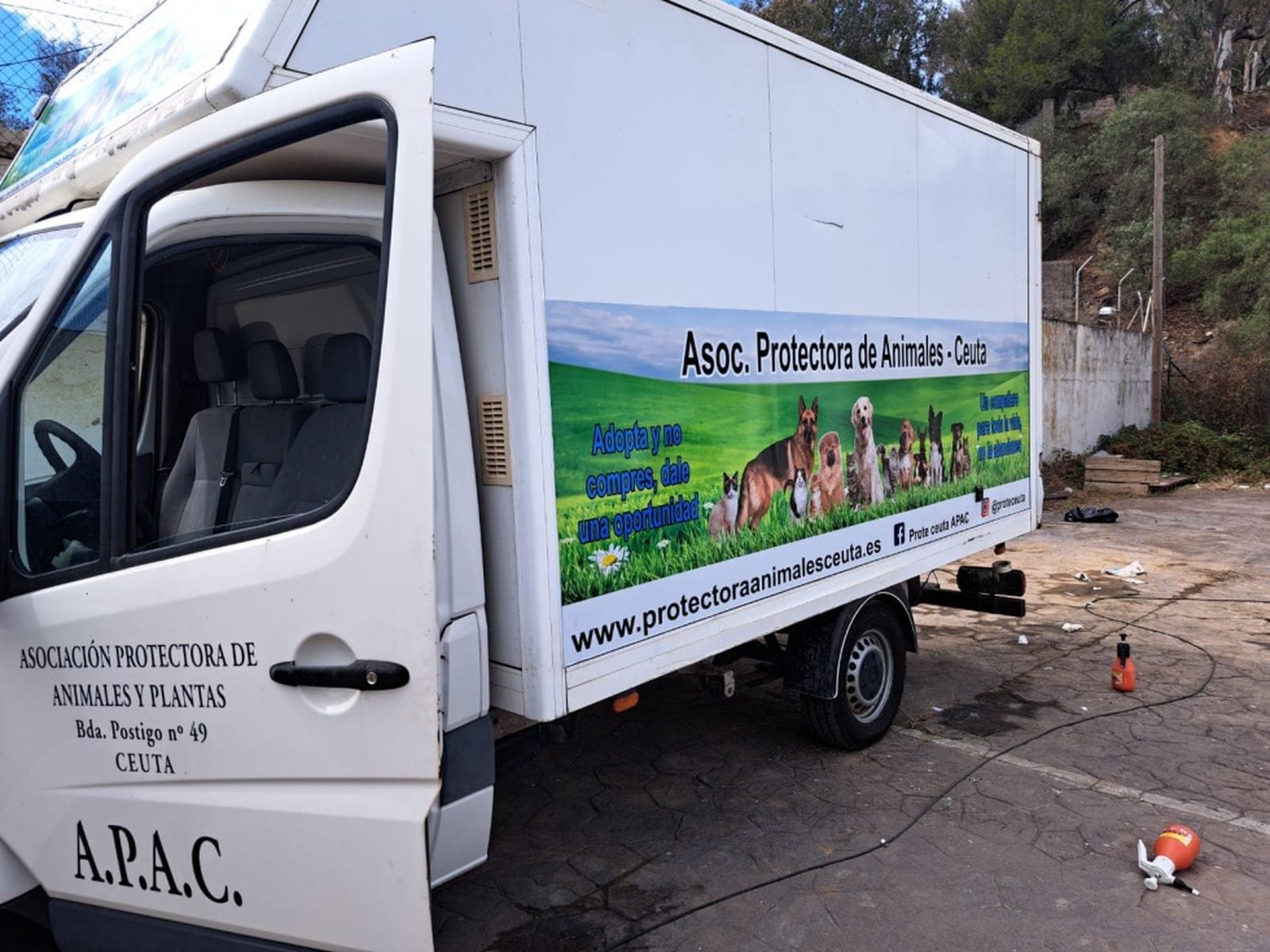 7011_foto-articulo-opinion-protectora-de-animales