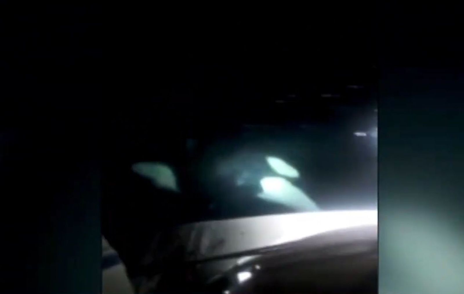 Son varios los casos de ataques de orcas reportados en las aguas del estrecho. / REPRODUCCIÓN EL PUEBLO