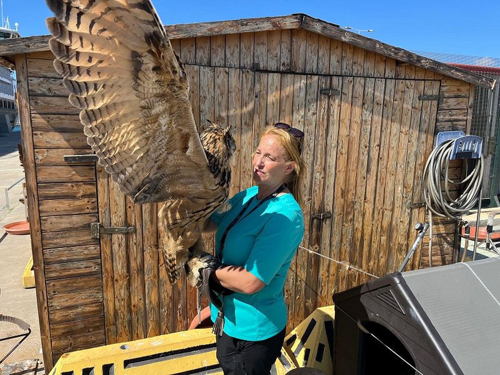 Horia Hamed, cetrera y encargada del mantenimiento de las aves en la empresa. / FOTO J.A.G.