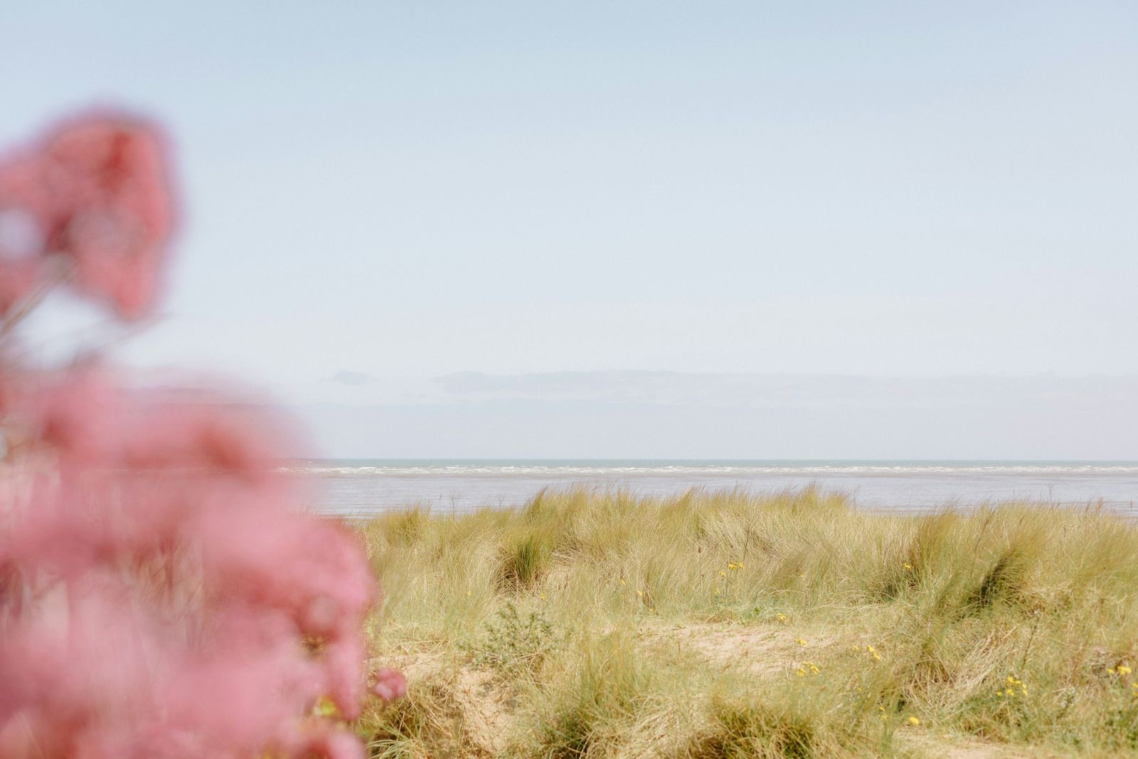 annie-spratt-6PKw0t-wm0M-unsplash