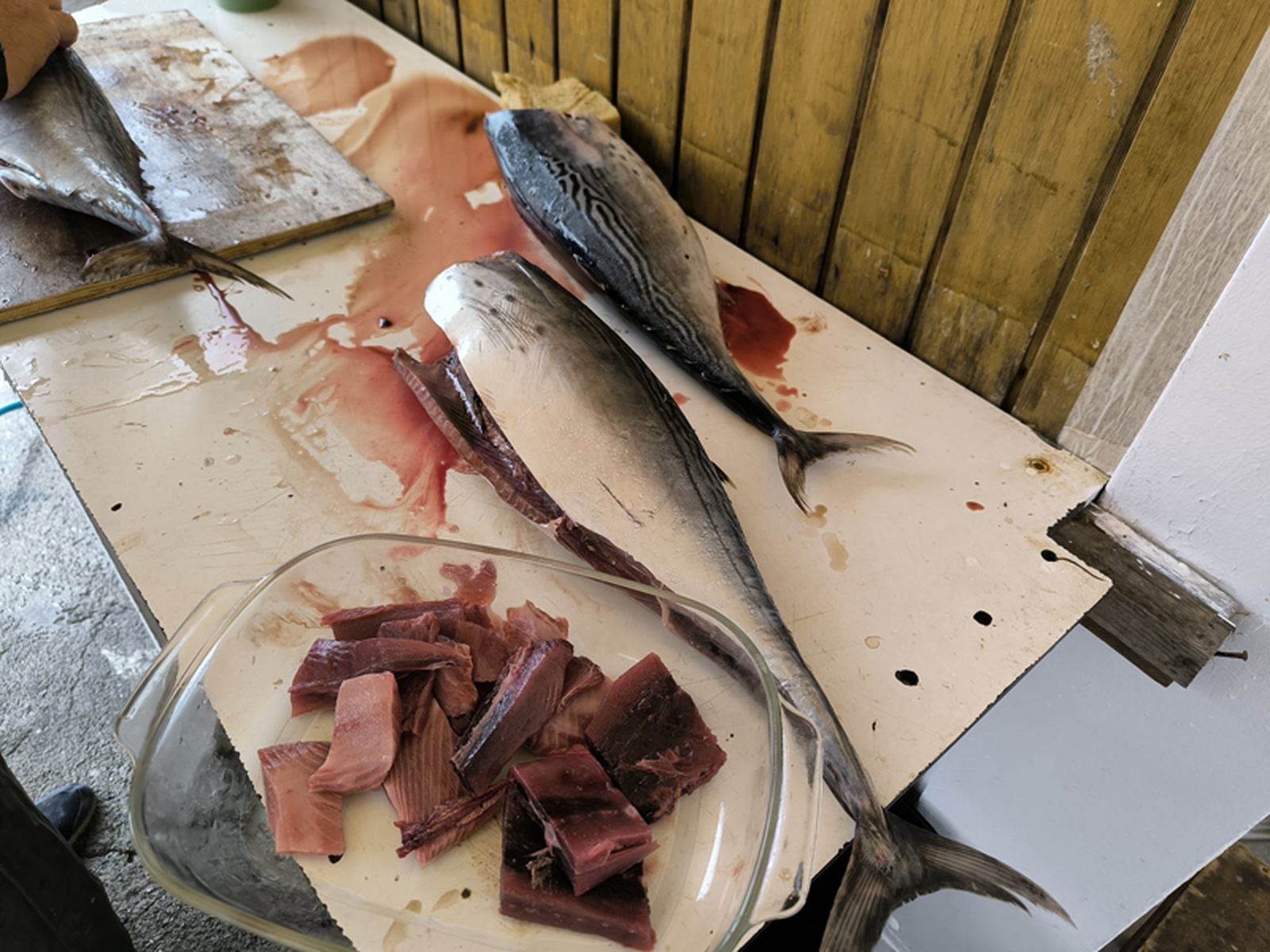 Restos de pescado que 'Fai' utiliza para freír. / FOTO NICOL'S
