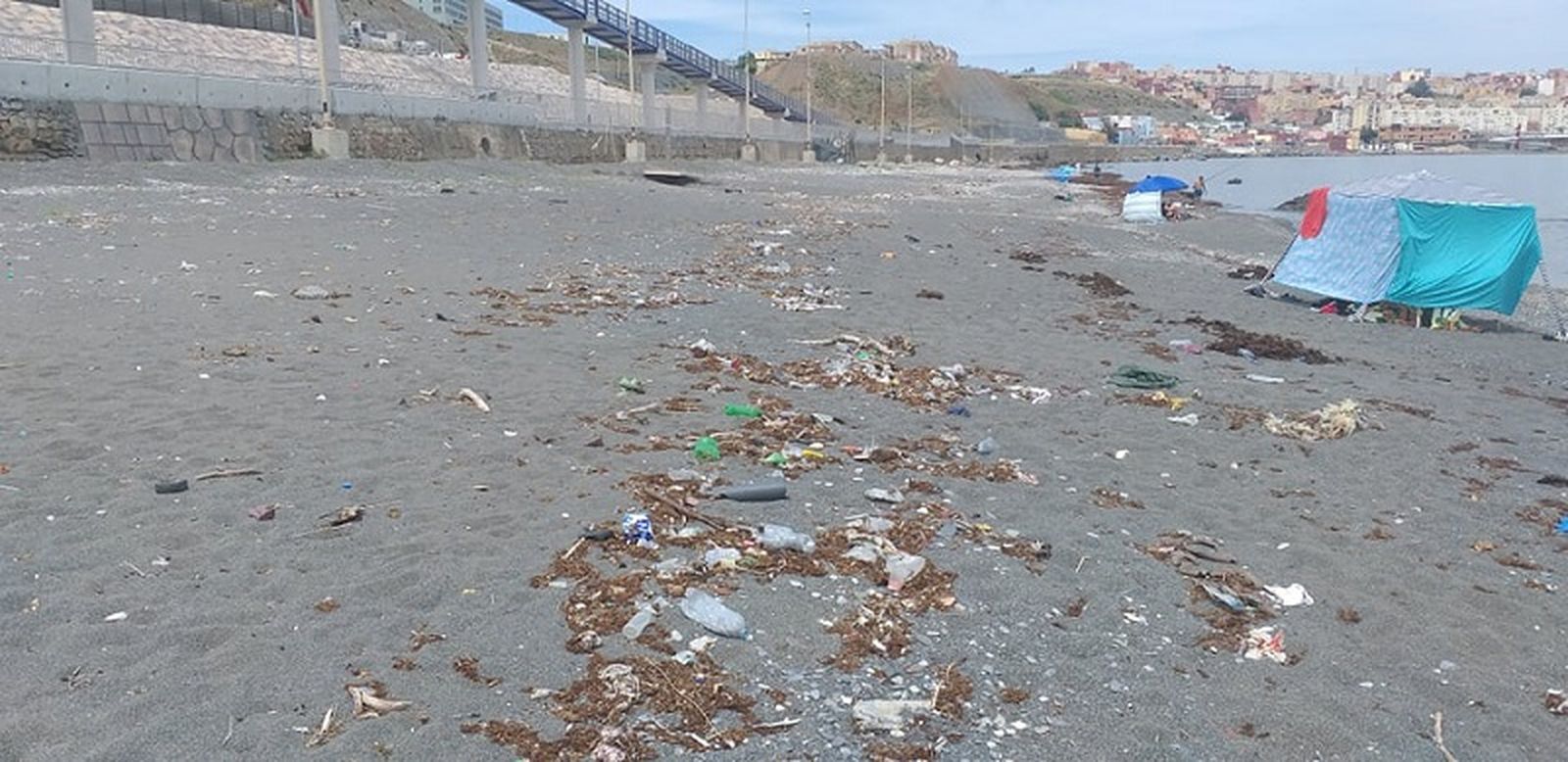 5367_103082781_313761329625250_5878033497718157741_n