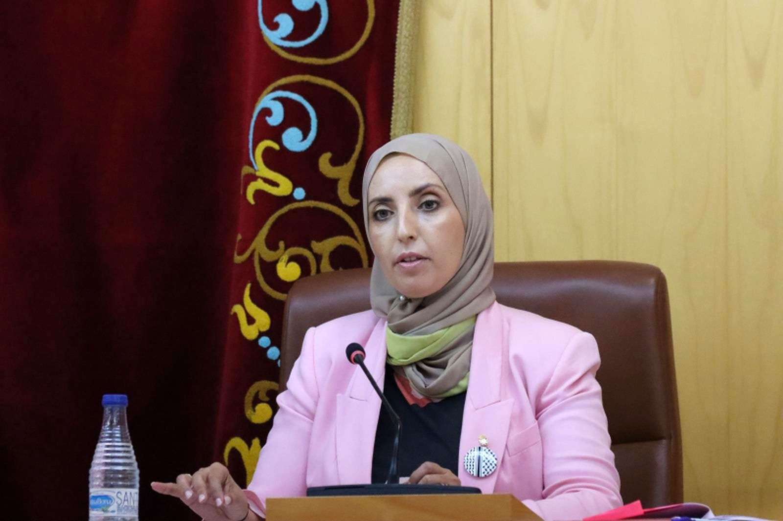 La diputada Hamed, durante su intervención / Reduan