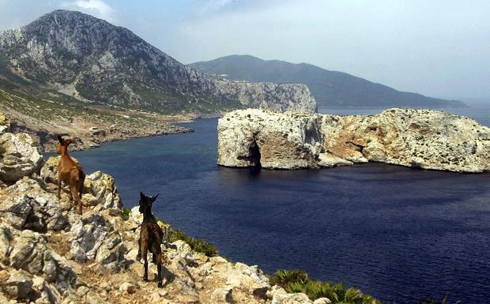 Isla Perejil. / FOTO CEDIDA