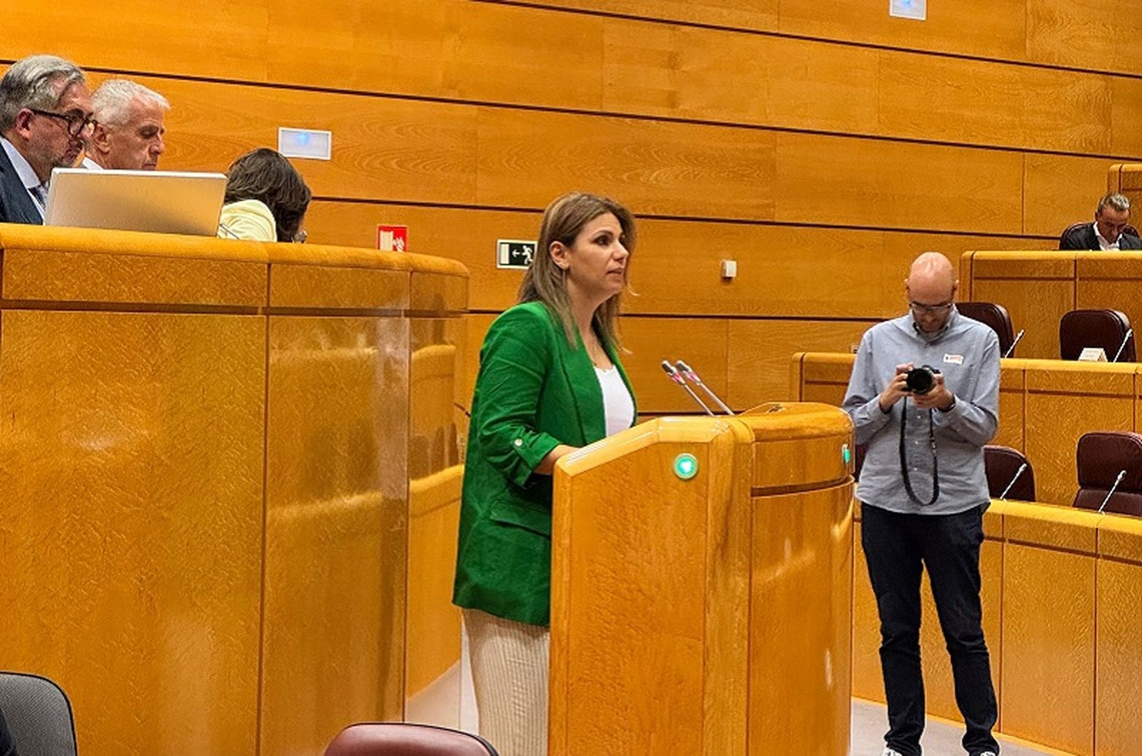 La consejera de Sanidad de Ceuta, Nabila Benzina, durante su intervención en el Senado el pasado miércoles. / FOTO CEDIDA