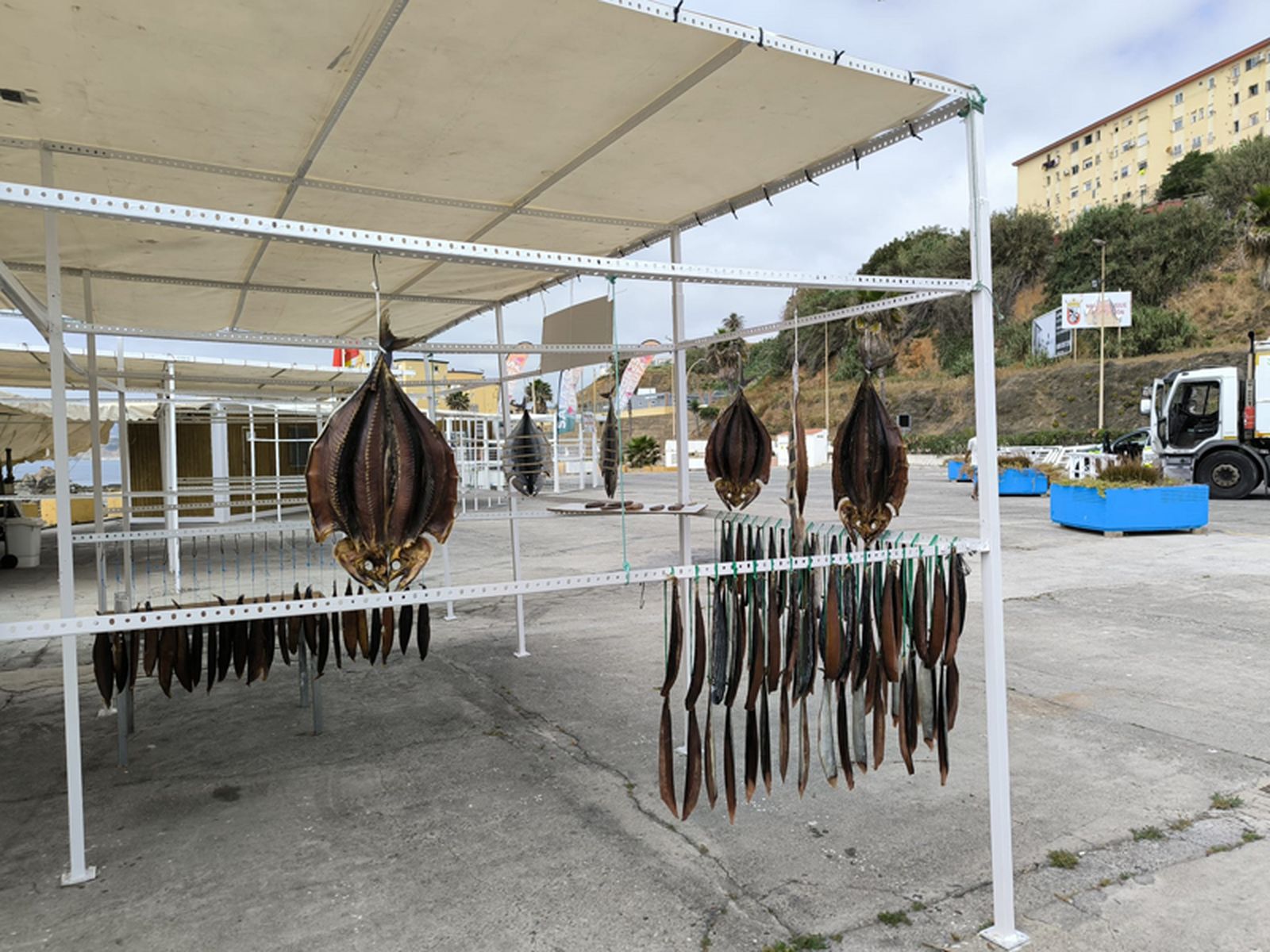 Pescado seco y listo para la venta por parte de 'Fai'. / FOTO NICOL'S