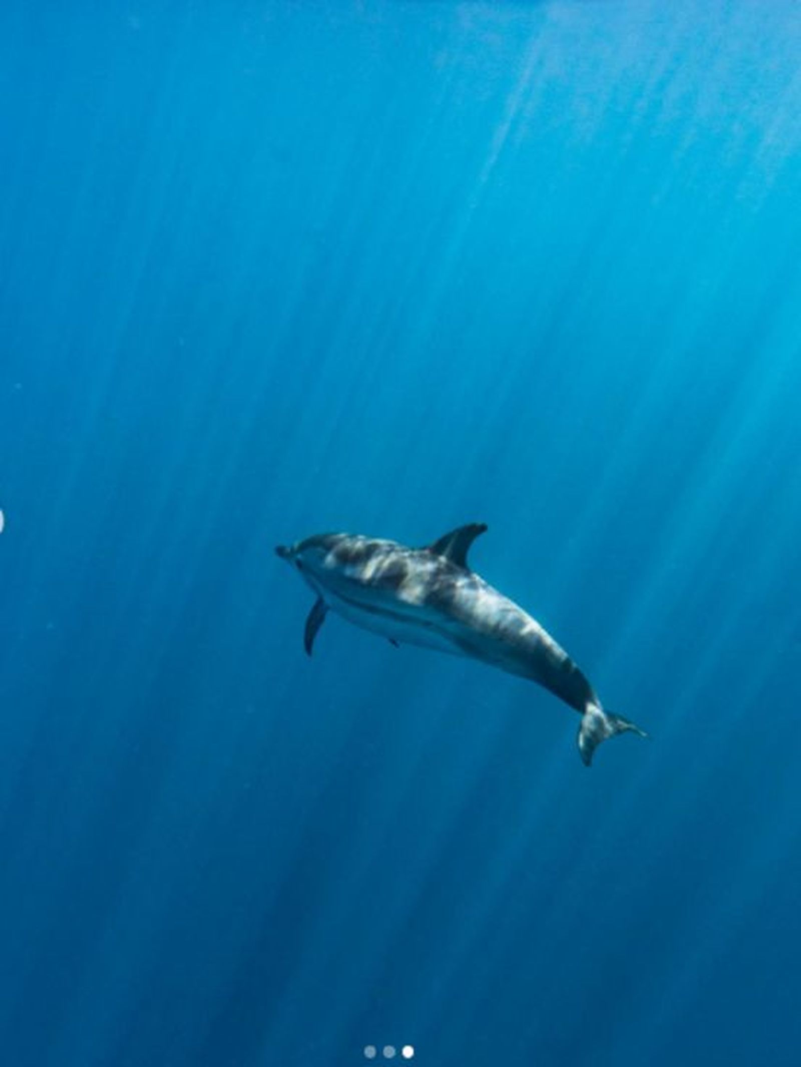 FOTO INSTAGRAM VICENTE SECO HANSELAAR