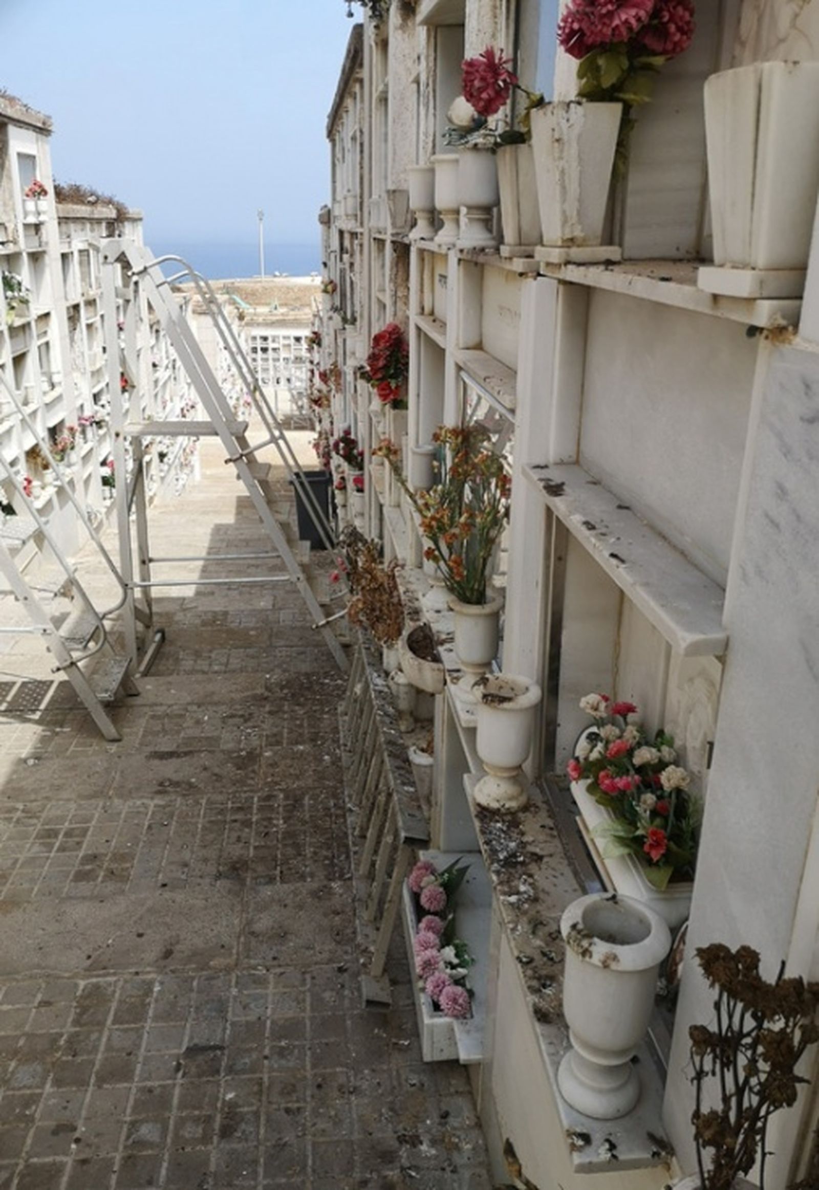 6521_b78ad944-a2c7-46e1-9cba-c2dd28d23723