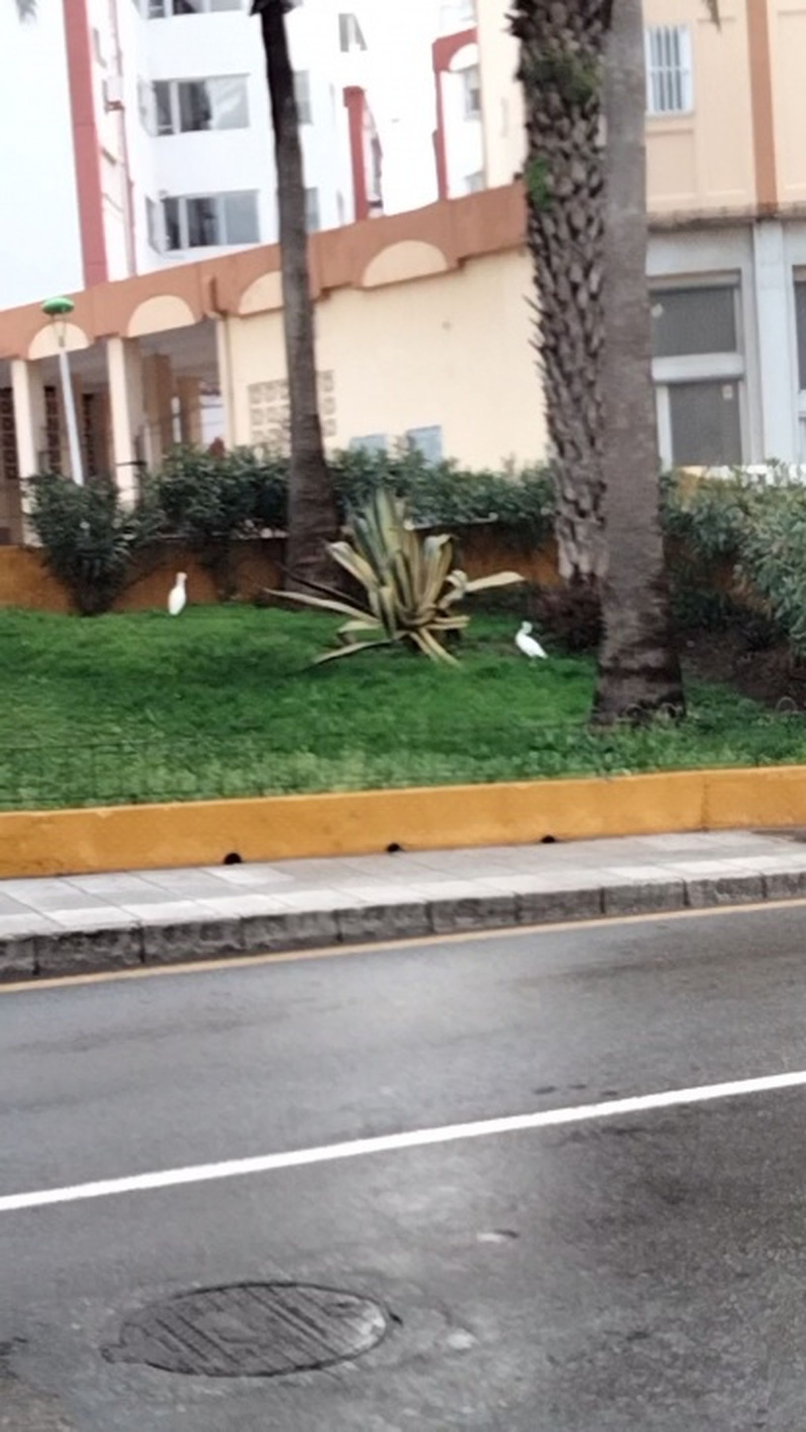 5389_foto-opinion-daubma