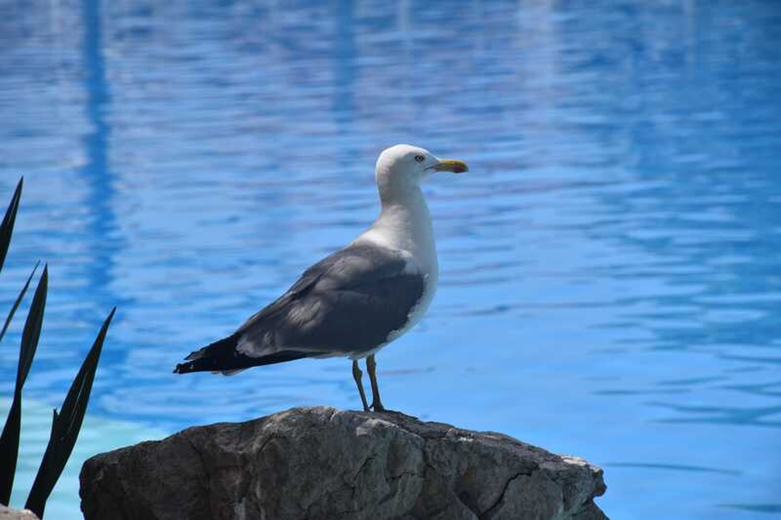 1224_whatsapp-image-2025-05-30-at-161746