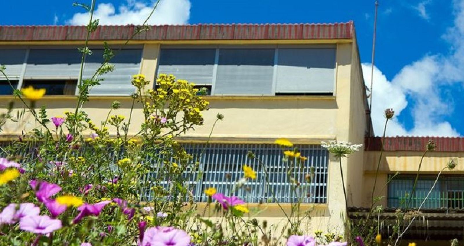 2193_ortega-y-gasset