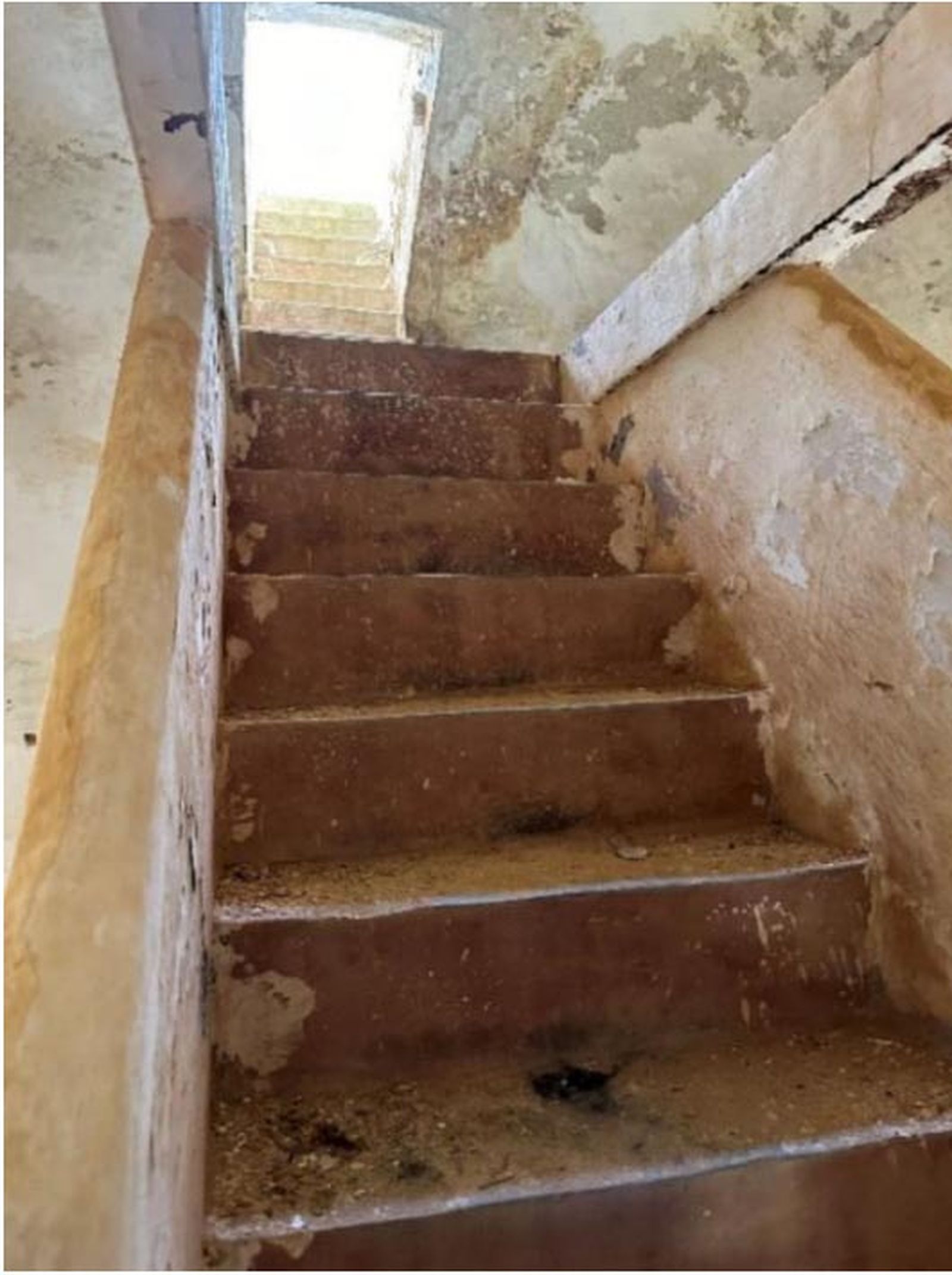 7705_sin-titulo-3345