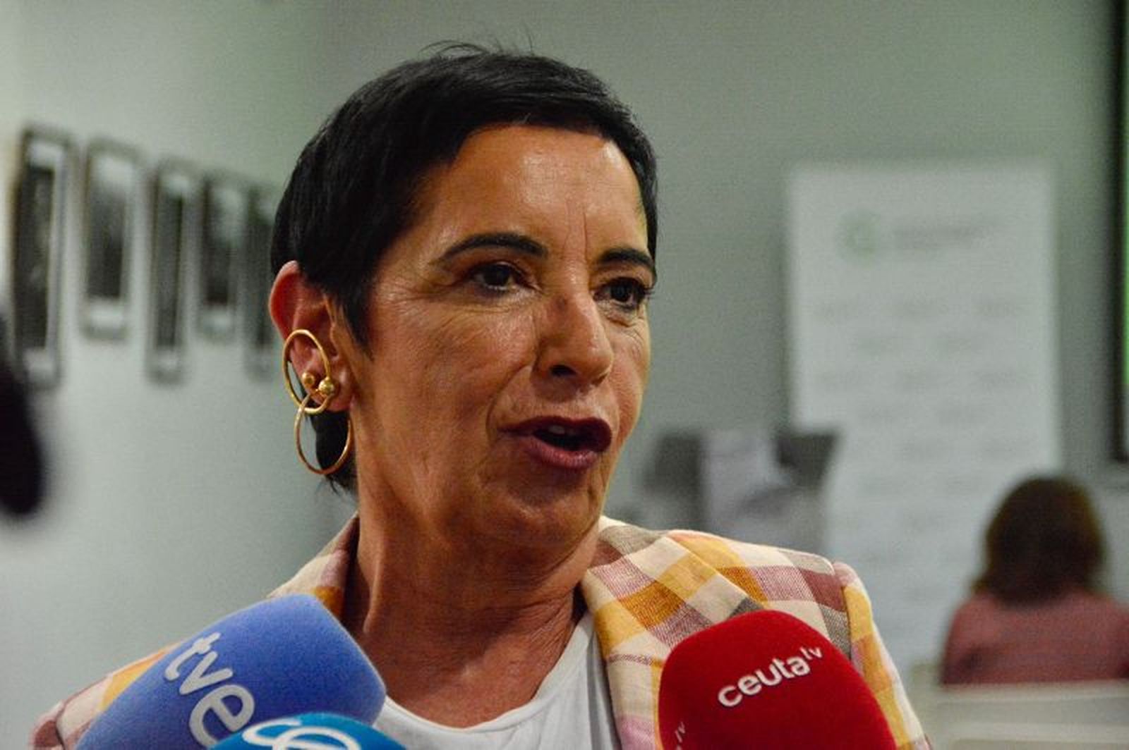 Beatriz Ferrón, en representación del Colegio de Farmacéuticos./ FOTO E.P.