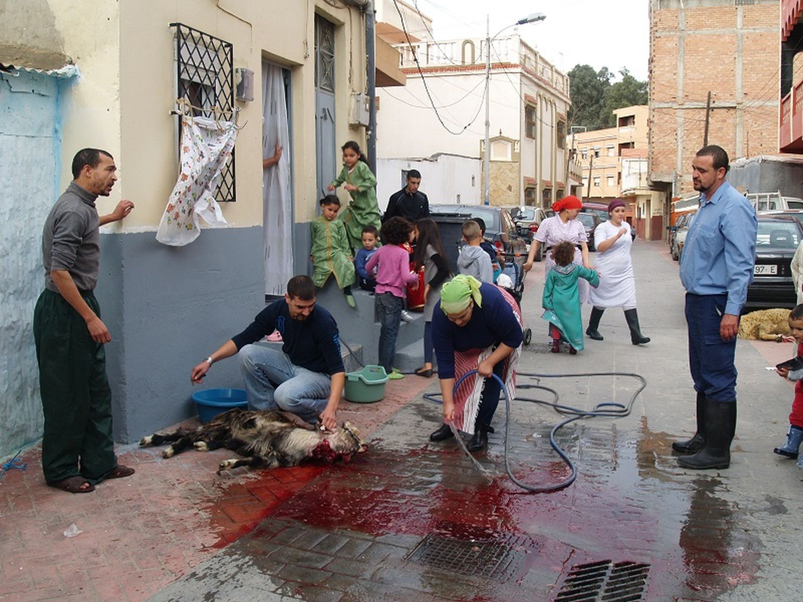 Un cordero sacrificado en plena calle. / FOTO REDUAN