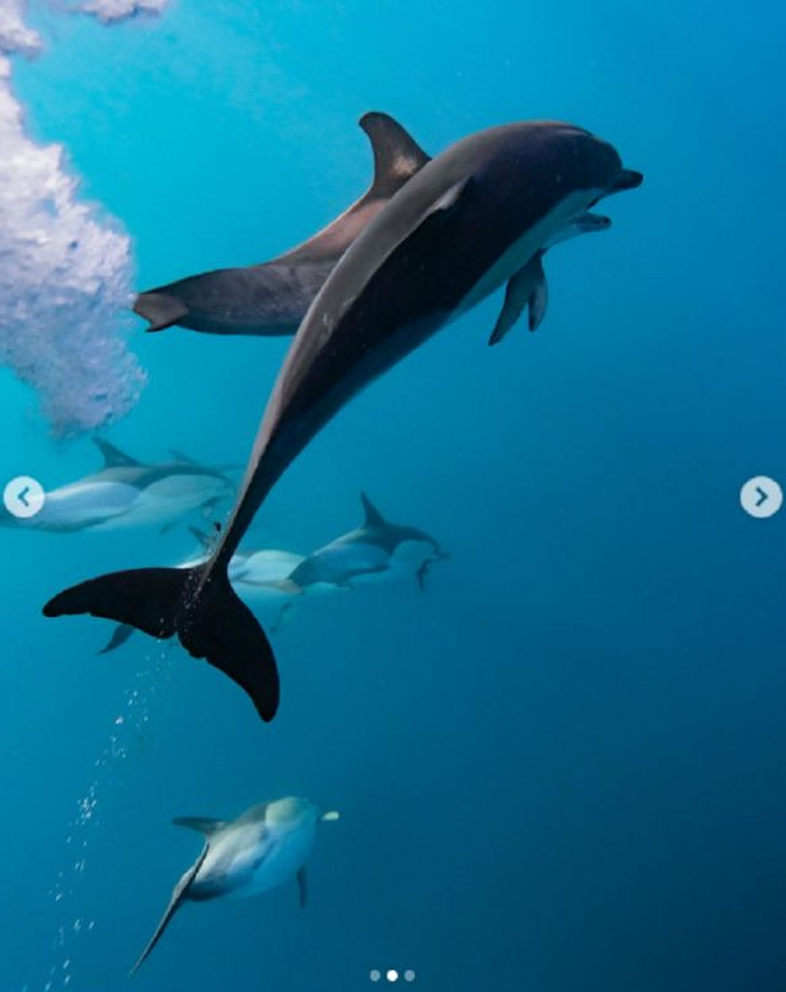 FOTO INSTAGRAM VICENTE SECO HANSELAAR