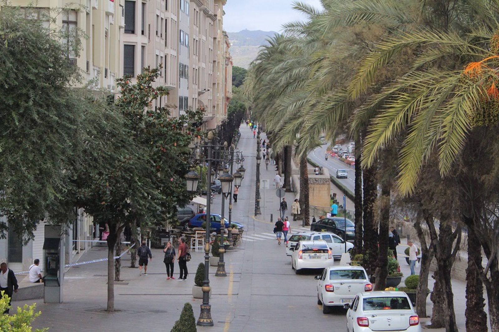 3898_3241_paseo-de-las-palmeras_p001