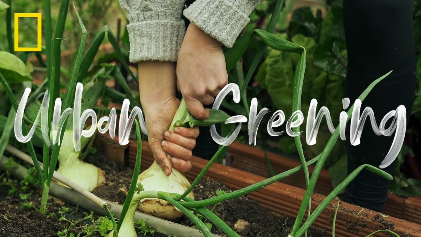 Noticia formación 5 septiembre