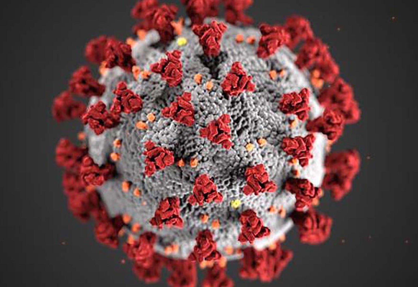 4491_coronavirus1200x600