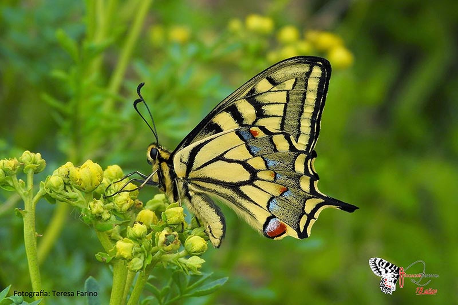 FOTO ARTURO IGLESIAS