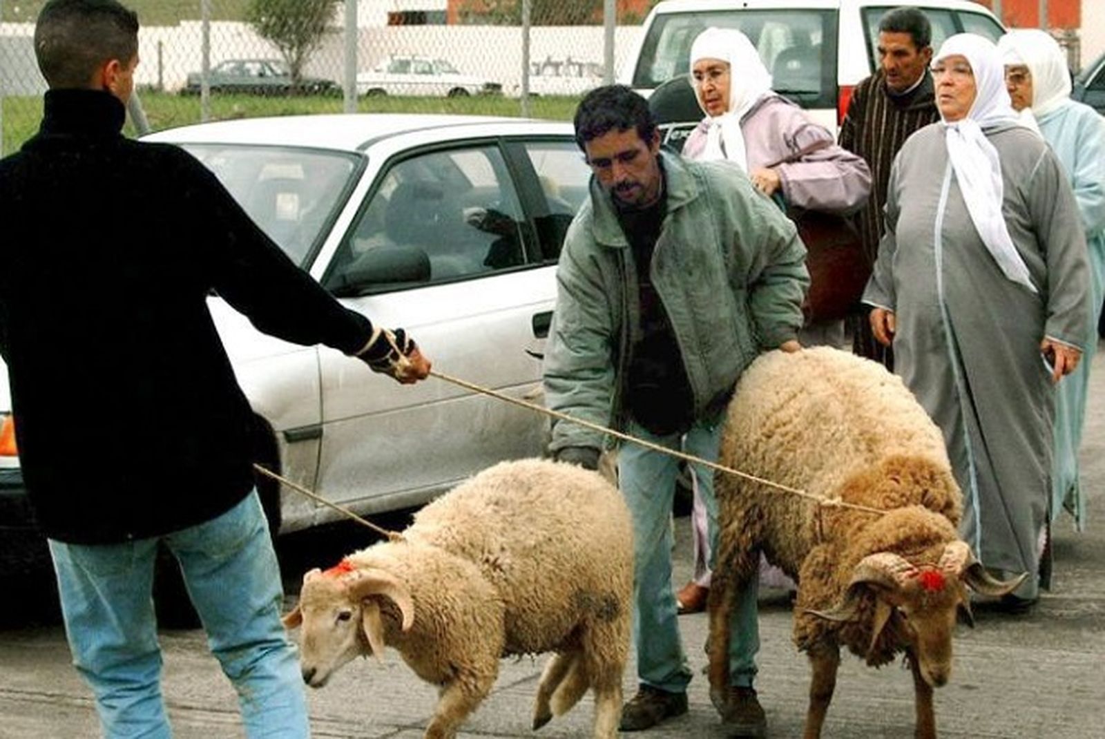 8005_ciknnsooz5ntdktwpngbfk2m4u