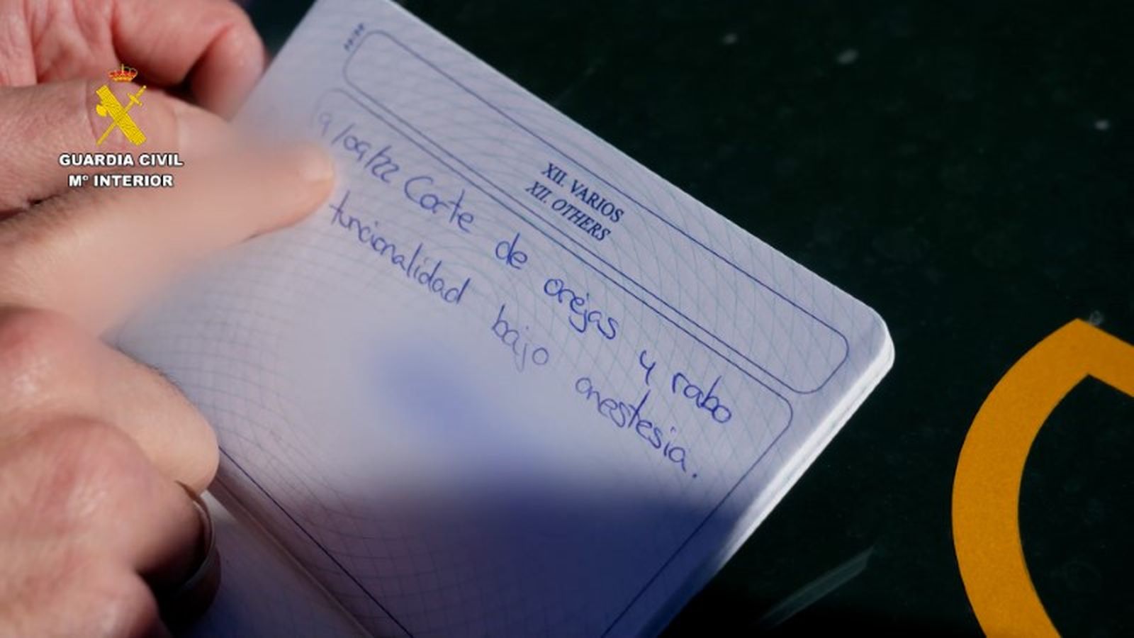 FOTO GUARDIA CIVIL