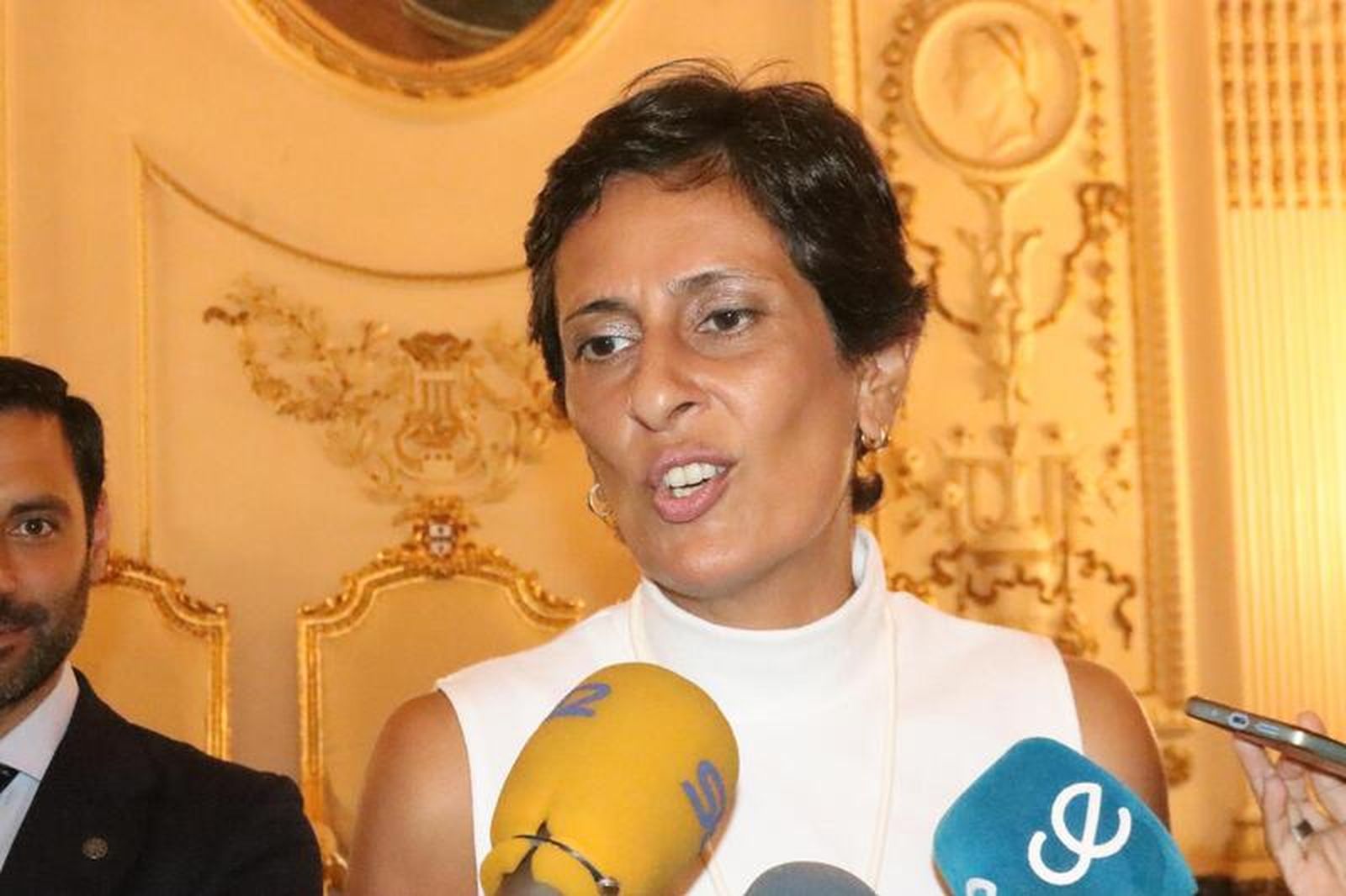 Chandiramani atiende a los medios esta mañana en el Palacio de la Asamblea/FOTO REDUAN