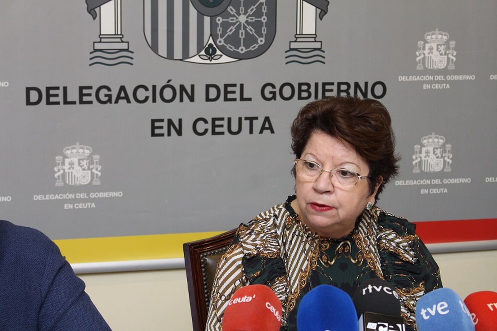 4806_delegada-rueda-prensa