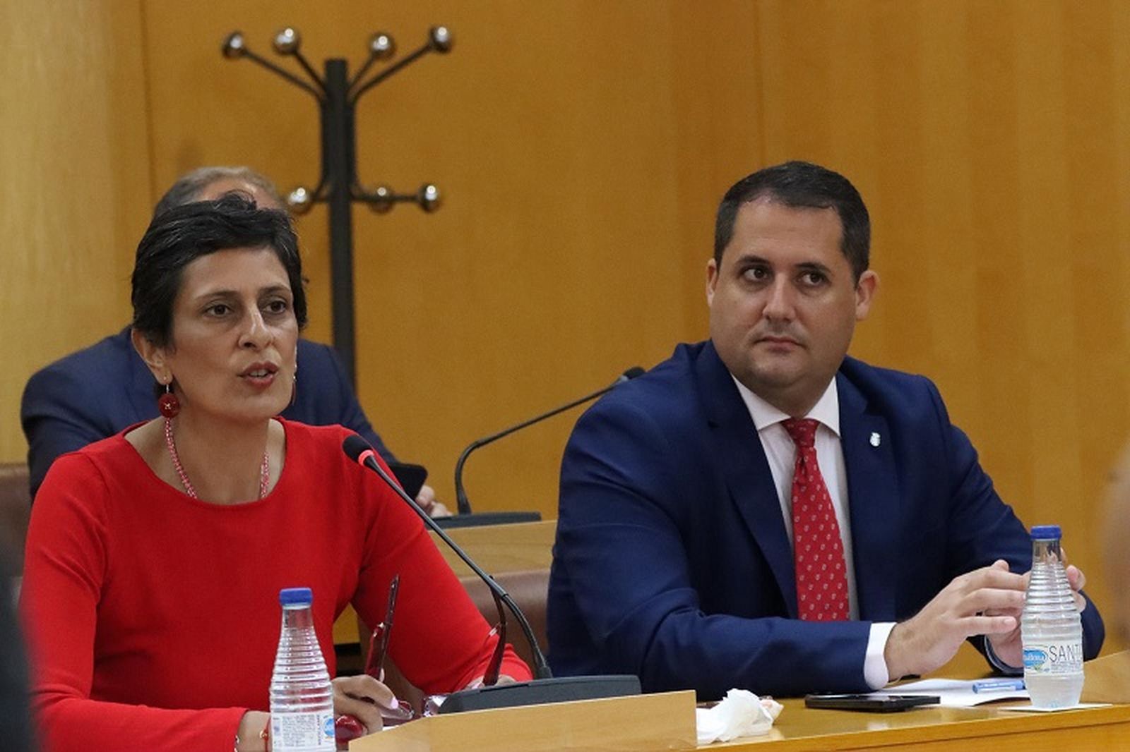 Chandiramani junto a Ramírez durante el pleno de este lunes. / FOTO REDUAN