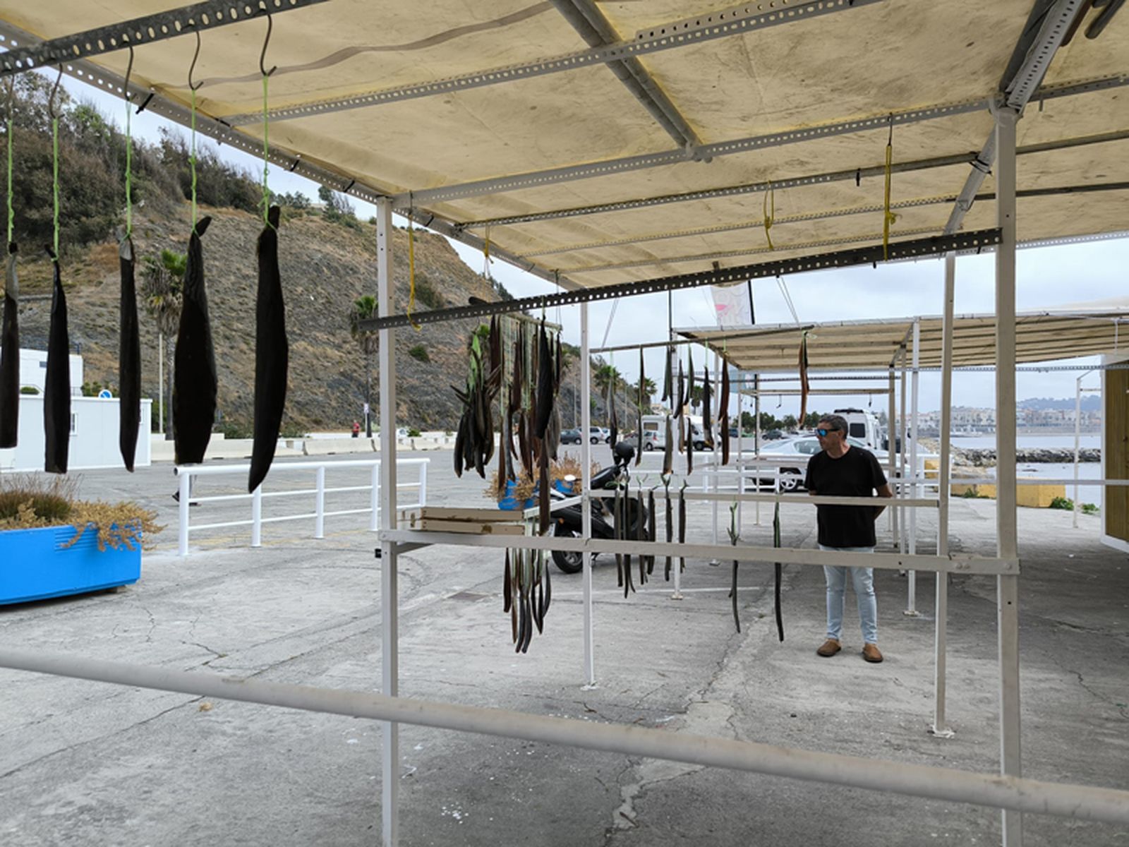 Puestos con pescado seco. / FOTO NICOL'S