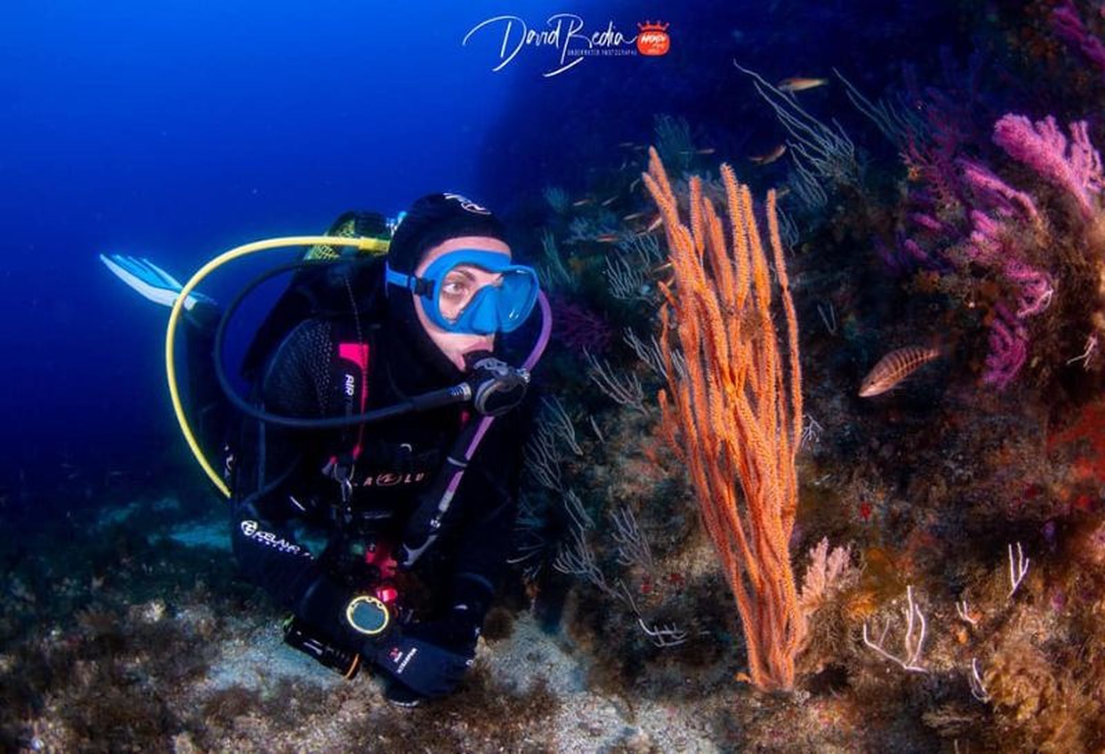 Imagen del Centro de Buceo Burbujas. / FOTO CEDIDA